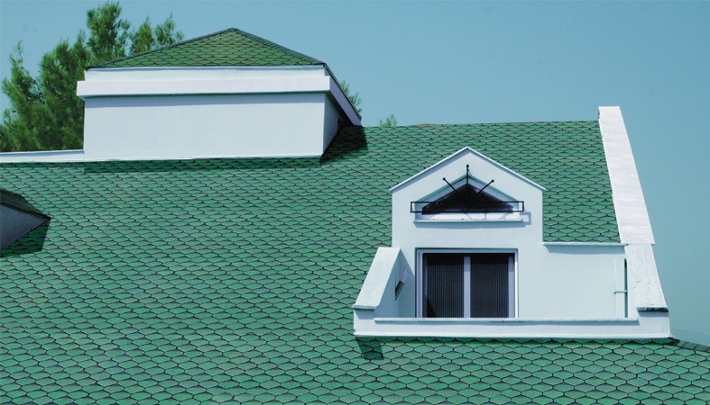 Selçuk profesyonel Çatı onarımı – Shingle cati örneği